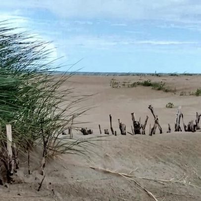Tempestades e elevação do mar levam Bélgica a erguer dunas de proteção