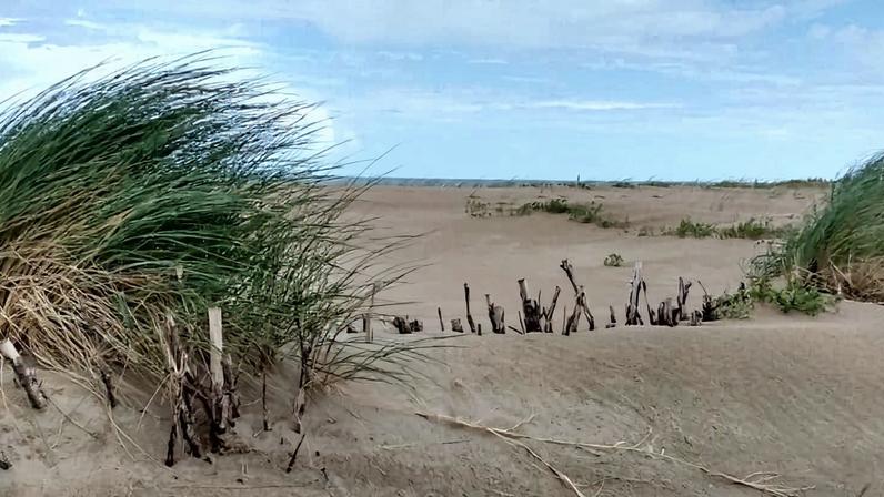 Tempestades e elevação do mar levam Bélgica a erguer dunas de proteção
