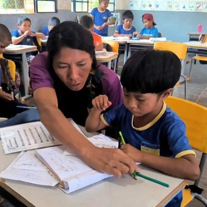 Webinário discute inclusão na educação escolar indígena