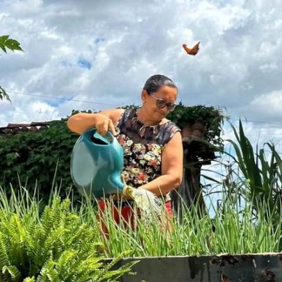 Fomento Rural eleva 30% a renda de famílias beneficiadas