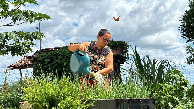 Fomento Rural eleva 30% a renda de famílias beneficiadas