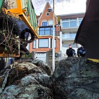 Agricultores despejam esterco em frente à casa de praia de Macron