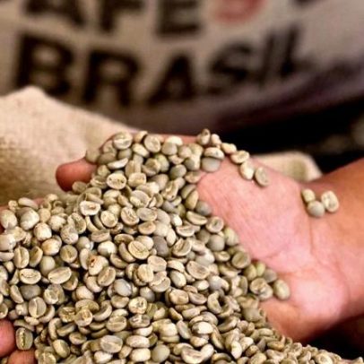Precariedade nos portos gera prejuízo de R$ 8,7 milhões a exportadores de café