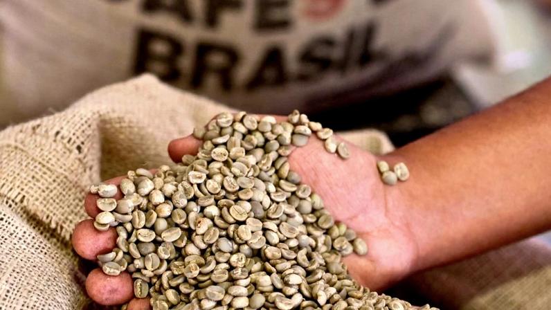 Grãos de café verde