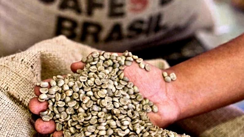 Grãos de café verde