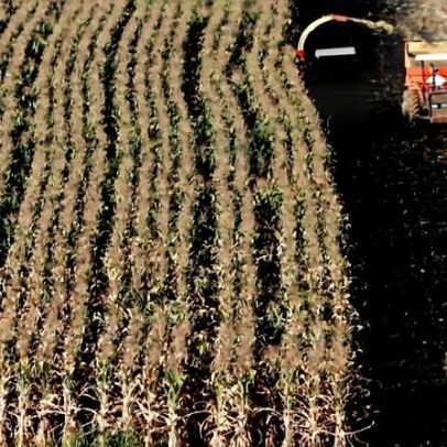 Recuperação judicial é o principal impacto no crédito rural