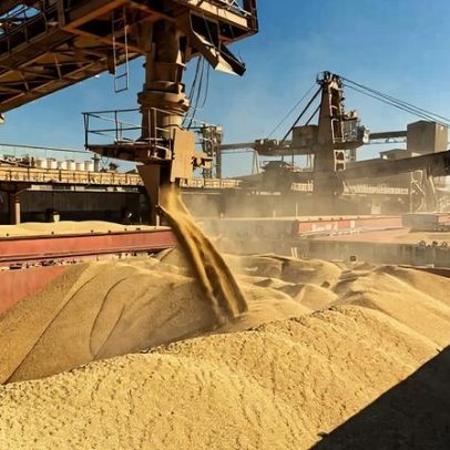 2025 é o Ano da Soja Brasileira com recorde e novos mercados além da China