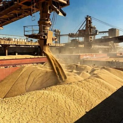 2025 marca recorde de soja brasileira e expansão para novos mercados
