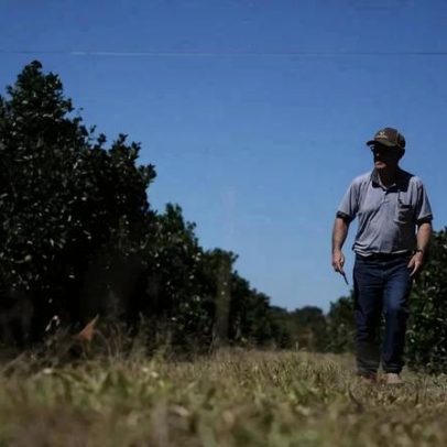 Recuperação Judicial no Agro avança 150% e crédito se torna mais seletivo
