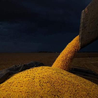 Gigantes do agro avaliam abandonar a Moratória da Soja