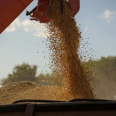Exportações de soja sobem para 3,33 milhões de toneladas