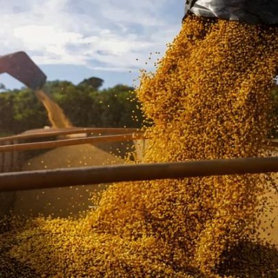 Indianos cancelam compra de soja após alta de preços