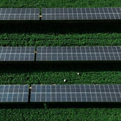 Economia Verde deve chegar a US$ 7 trilhões até 2030, aponta Fórum Mundial