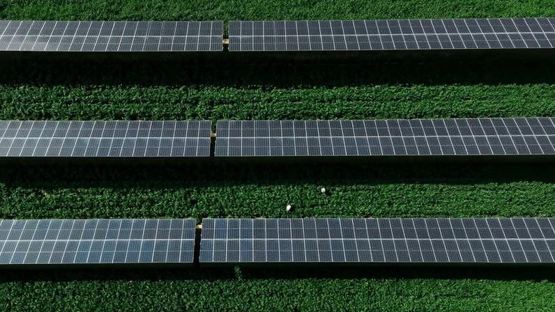 O custo da energia solar fotovoltaica caiu 90%, diz o relatório do Fórum Econômico Mundial