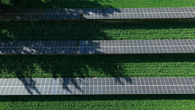 O custo da energia solar fotovoltaica caiu 90%, diz o relatório do Fórum Econômico Mundial