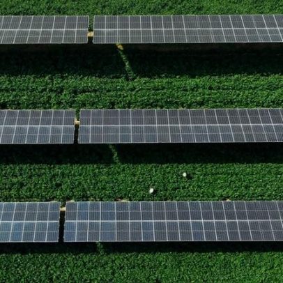 Economia Verde deve movimentar US$ 7 trilhões até 2030, aponta WEF