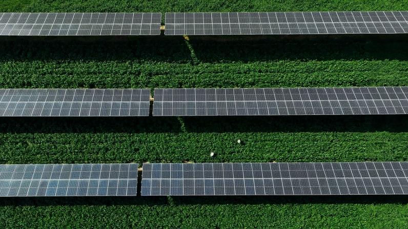 O custo da energia solar fotovoltaica caiu 90%, diz o relatório do Fórum Econômico Mundial