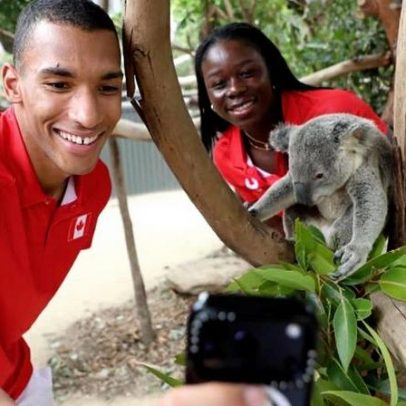 Canadenses e chineses visitam o zoológico de Sydney