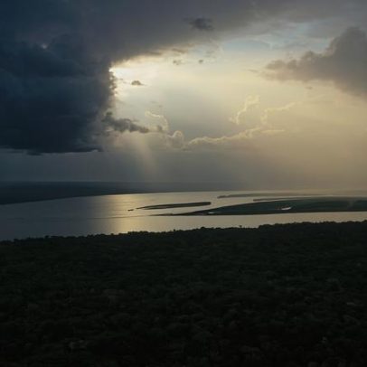 América Latina em 2025: conservação versus crime e extração