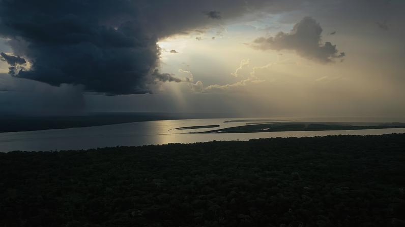 América Latina em 2025: conservação versus crime e extração