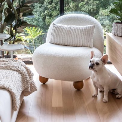 Melhores pisos para casas com pets: o que levar em conta