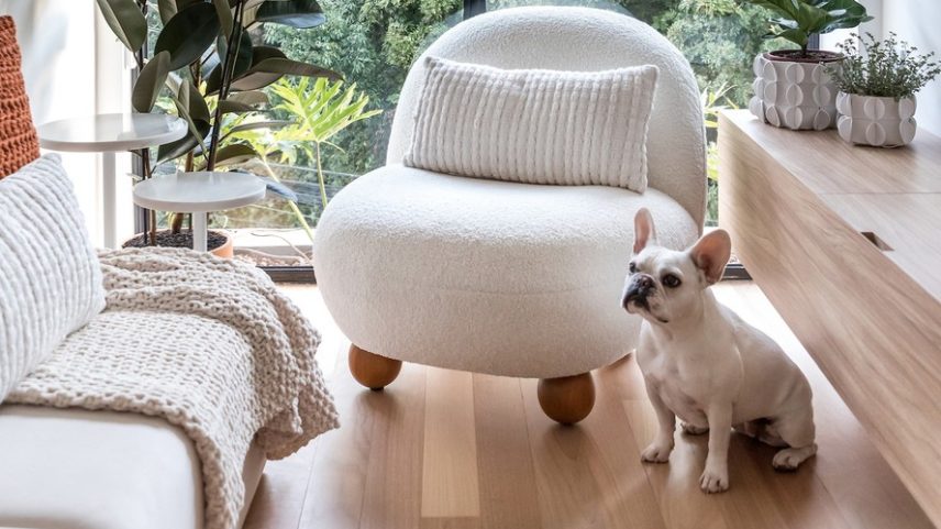 No projeto do escritório Solo Arquitetos, a cachorra Lua posa sobre o piso de madeira, ao lado da poltrona Bumbo, adquirida na Breton