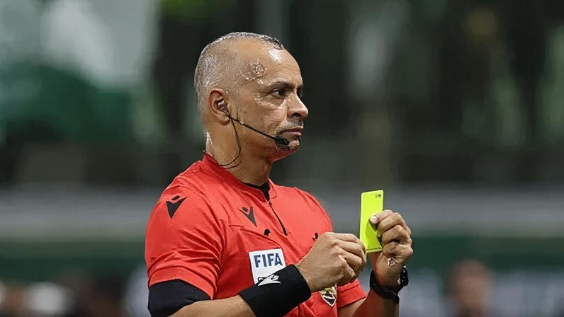 Wilton Pereira Sampaio em jogo do Brasileirão