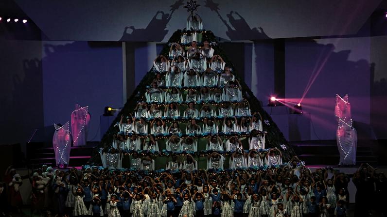 A “Árvore Que Canta” teve seu início em dezembro de 1998, e passou a integrar o calendário oficial de eventos do Estado do Espírito Santo (Lei nº 10846) e da cidade de Vitória (Lei nº 6.621). Foto: Divulgação