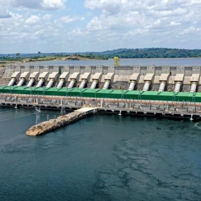 Deformidades de peixes revelam colapso no pulso do Rio Xingu após Belo Monte