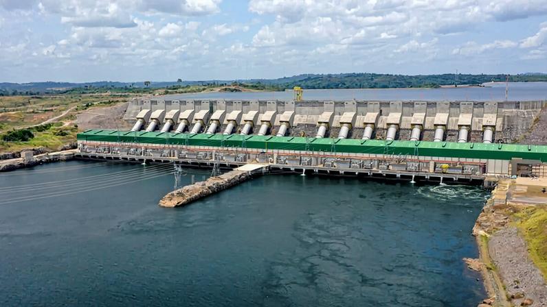 Deformidades de peixes revelam colapso no pulso do Rio Xingu após Belo Monte