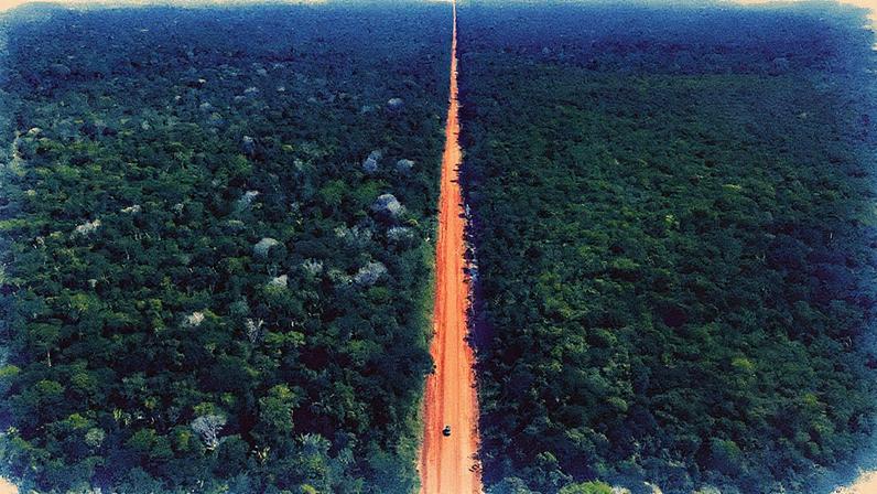 Legislação facilita a retomada das obras da BR-319, que liga Manaus a Porto Velho e reduz custos logísticos. (Foto: Dnit/Agência Brasil)