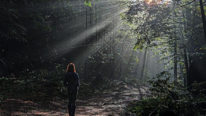 15 forças que podem redefinir a conservação nos próximos 10 anos