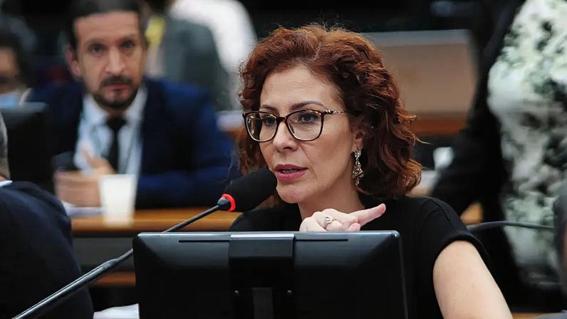 Diego Garcia diz não ter encontrado provas concretas de que Carla Zambelli tenha ordenado as invasões. (Foto: Billy Boss/Câmara dos Deputados)