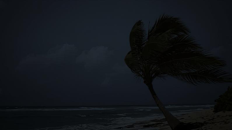 SP e capitais do Sul terão ventos moderados nesta quinta-feira