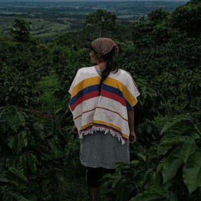 Agrofloresta ganha popularidade entre cafeicultores da Colômbia, aponta análise