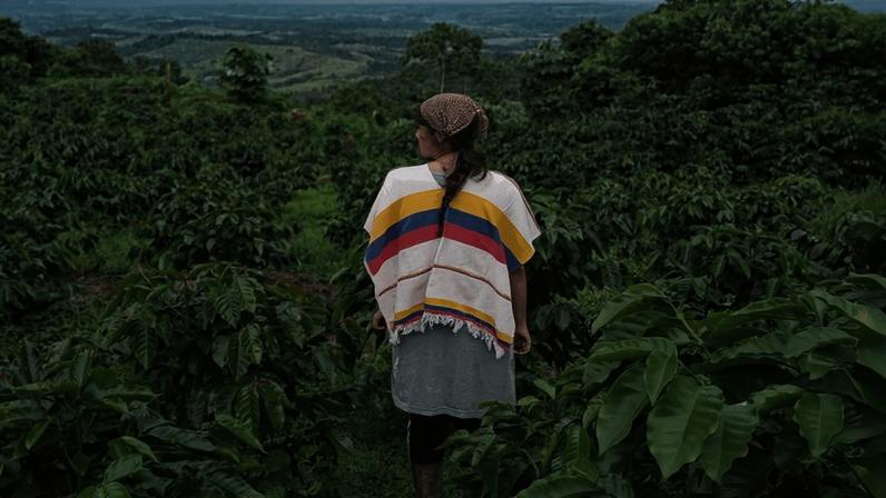 A woman stands among coffee bushes in Colombia. Image courtesy of Juliana Cajiao Raigosa.