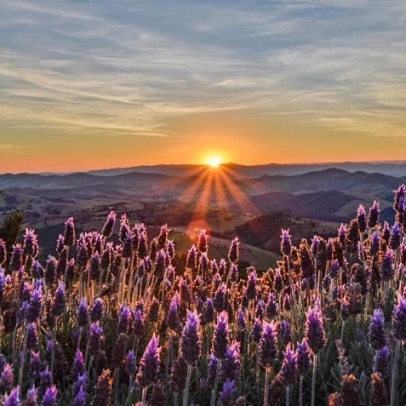 5 destinos para aproveitar o fim de ano longe do caos e das festas