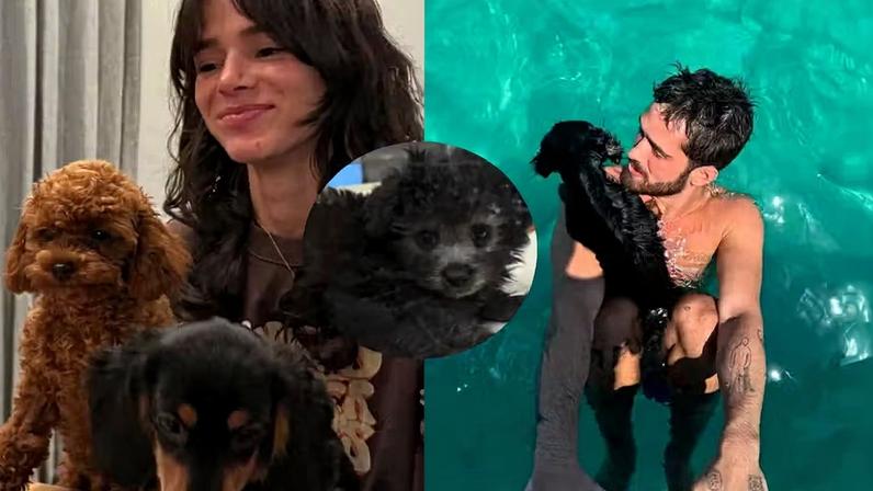 Bruna Marquezine e João Guilherme 'compartilham guarda' de Chihiro e Haku — Foto: Reprodução/Instagram
