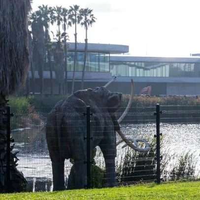 Funcionários do Lacma aprovam por larga maioria formação de sindicato
