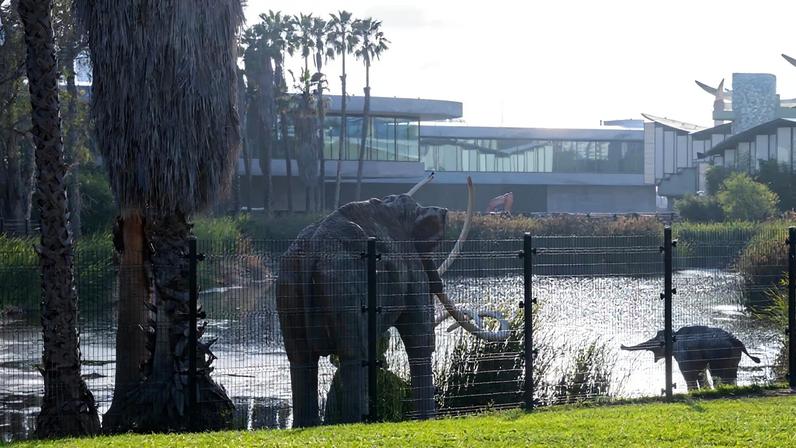 Funcionários do Lacma aprovam por larga maioria formação de sindicato