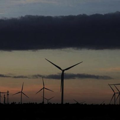 Casa dos Ventos e Vestas anunciam projeto eólico de 5 bilhões no Piauí