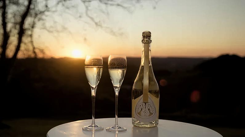 Lidio Carraro Nature é 100% feito com uvas Chardonnay, sendo fresco, cremoso e gastronômico