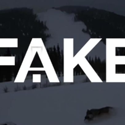 Vídeo de loba salvando filhote de avalanche criado por IA