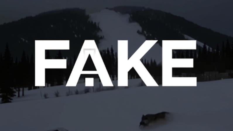 1 de 5 É #FAKE vídeo de loba salvando filhote de avalanche; cena foi produzida com inteligência artificial — Foto: Reprodução