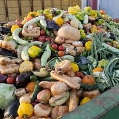 Startups brasileiras avançam com soluções para reduzir desperdício de comida