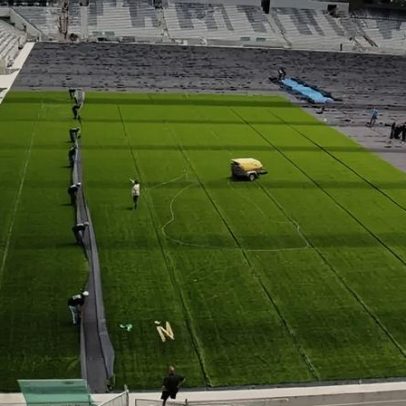 Palmeiras x Flamengo: gramado sintético divide clubes entre ciência e política