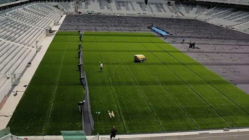 Palmeiras x Flamengo: gramado sintético divide clubes entre ciência e política