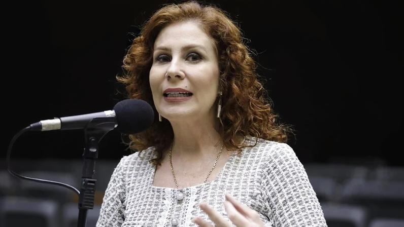 A deputada federal Carla Zambelli (PL-SP). Foto: Mário Agra/Câmara dos Deputados