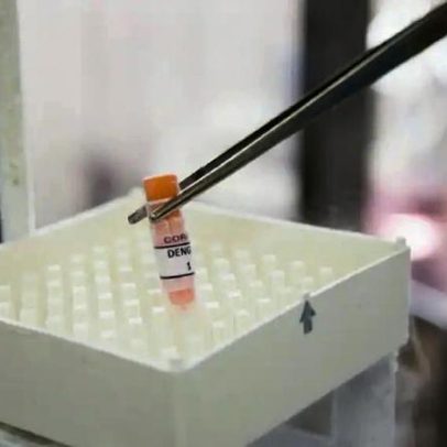 Butantan-DV: vacina de dose única contra dengue ganha destaque estratégico