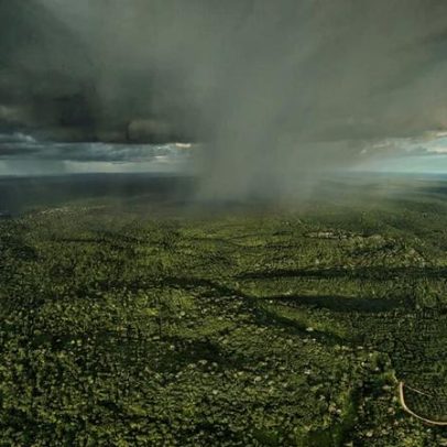 2025 promete ser ano decisivo para o jornalismo da Mongabay